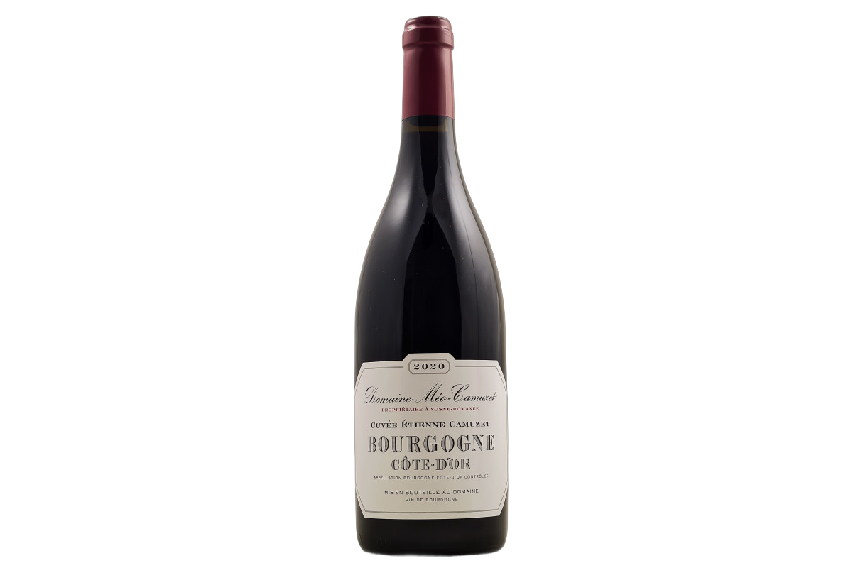 Bourgogne Côte d'Or Etienne Camuzet