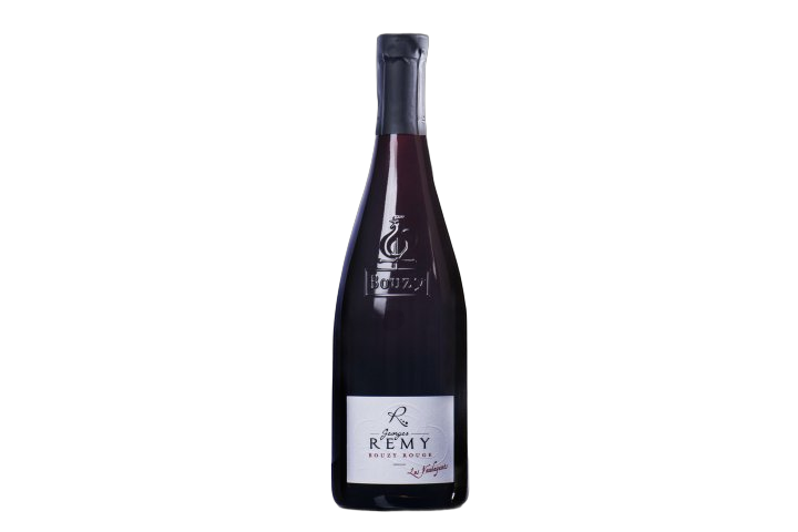 Georges Remy Coteaux Champenois Rouge Bouzy Les Vaudayants