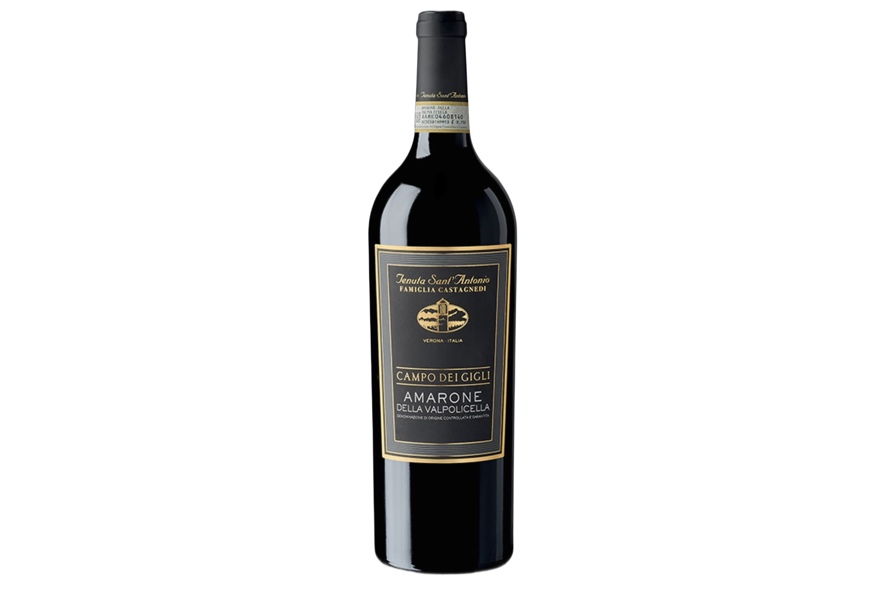 Tenuta Sant’Antonio Amarone della Valpolicella Campo dei Gigli