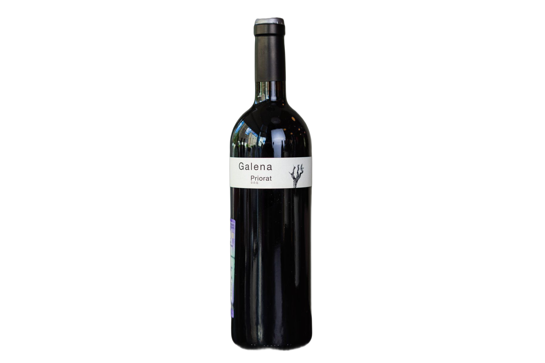 Domini de la Cartoixa Clos Galena Priorat