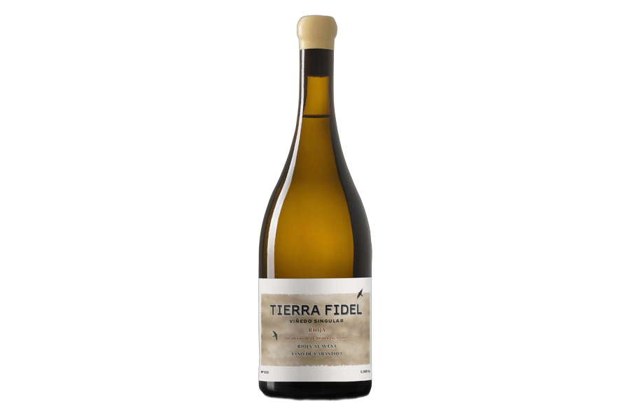 Bodegas Tierra Fidel