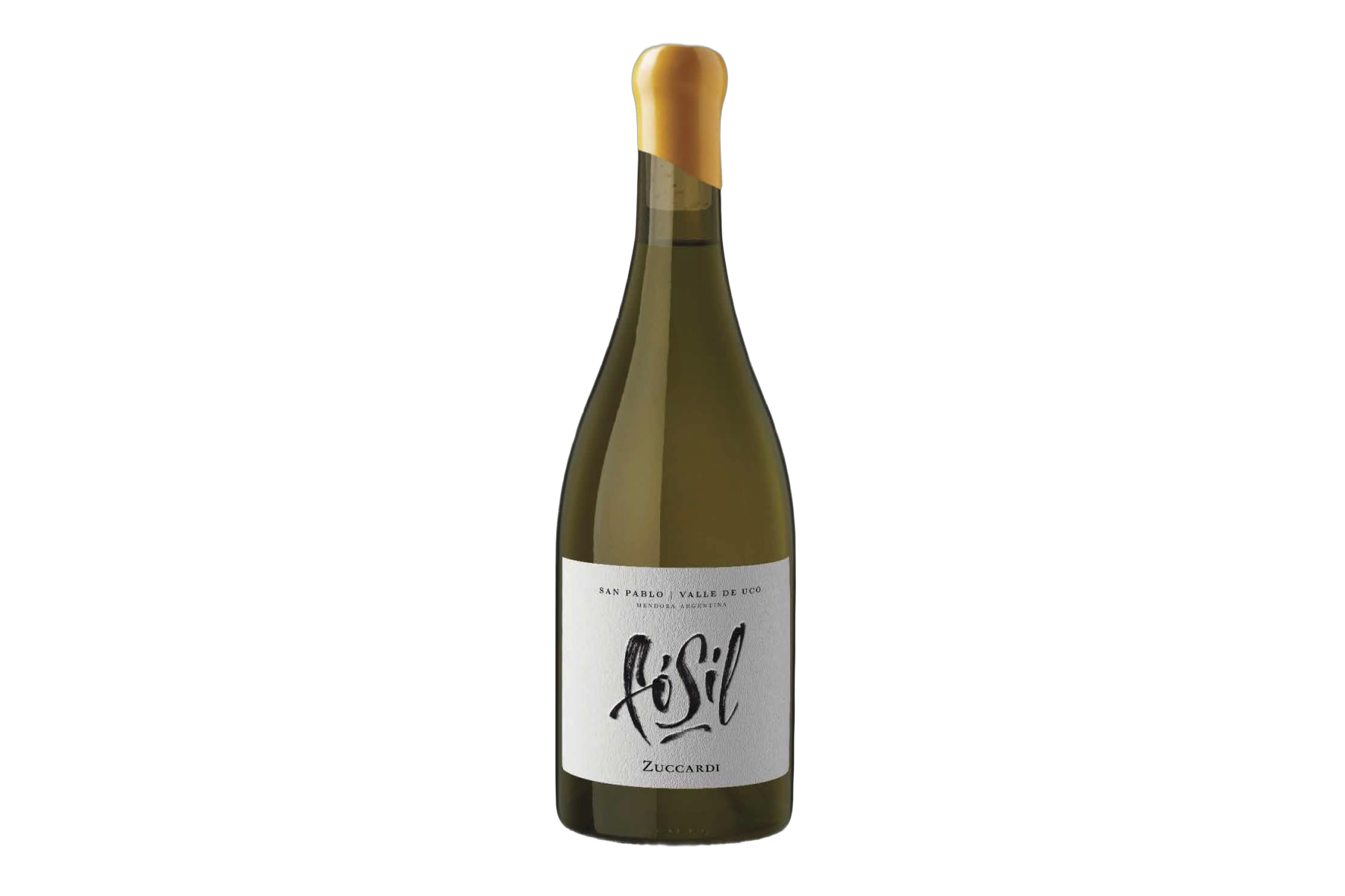 Zuccardi Fosil San Pablo Valle de Uco Mendoza