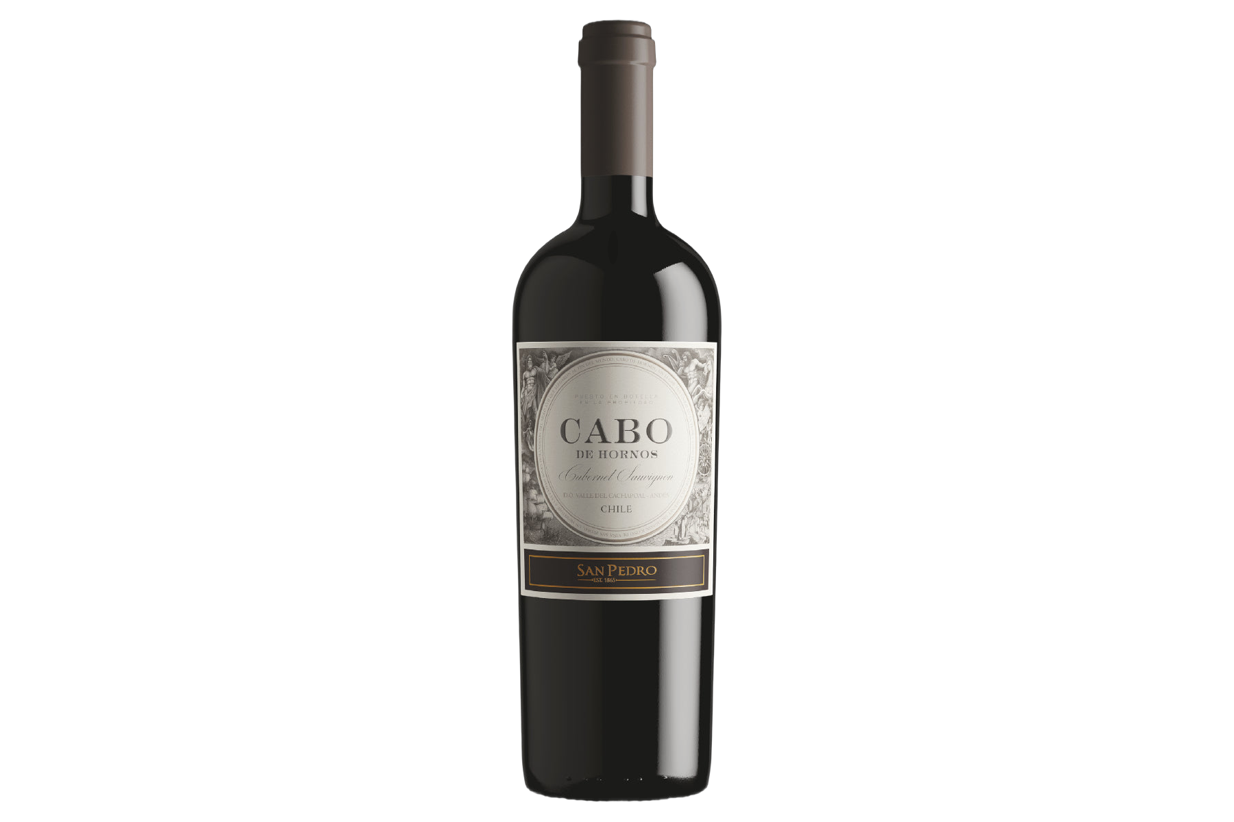 Viña San Pedro Cabo de Hornos Cabernet Sauvignon Cachapoal Valley Andes