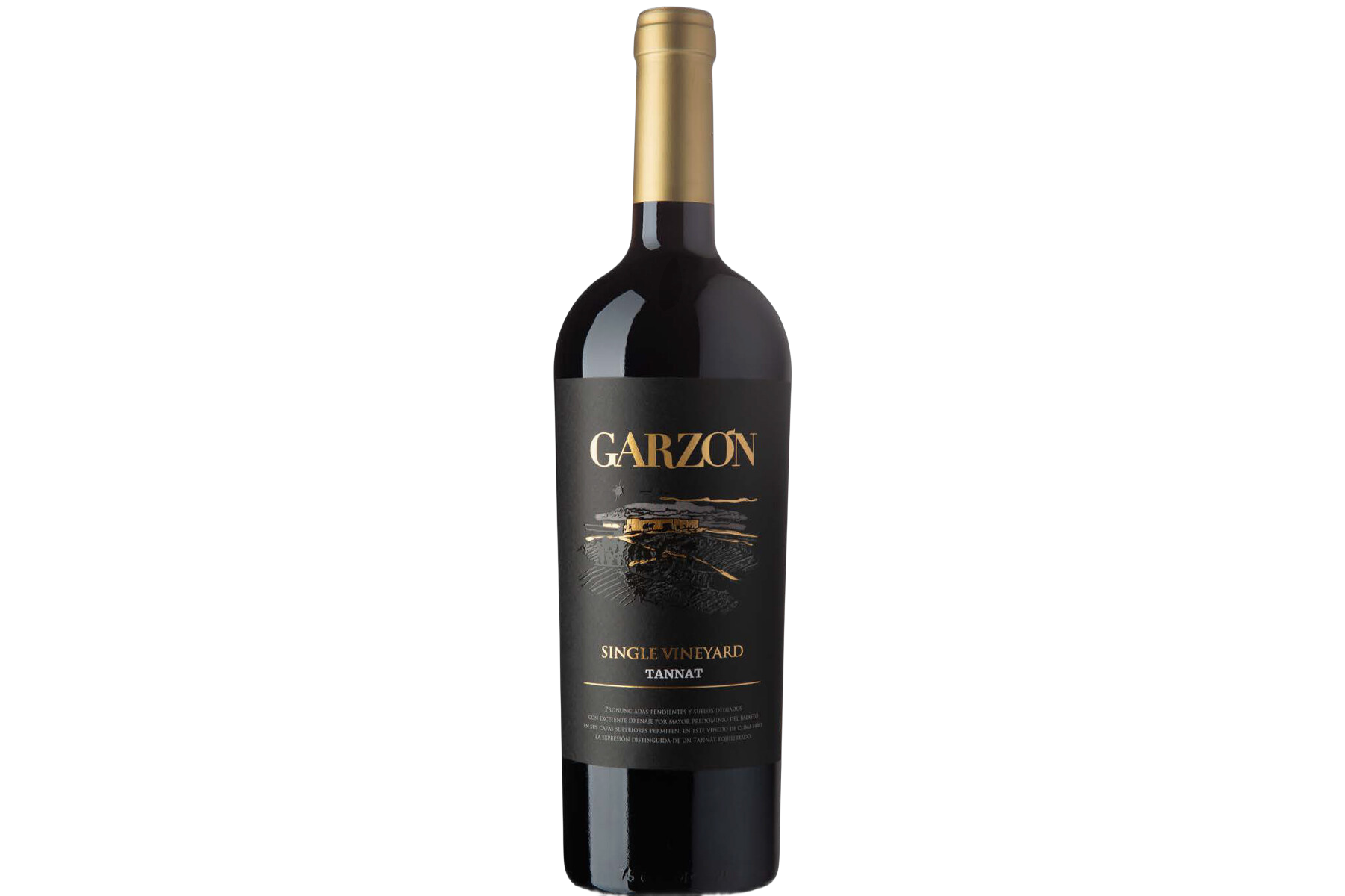 Bodega Garzón Single Vineyard Tannat Uruguay