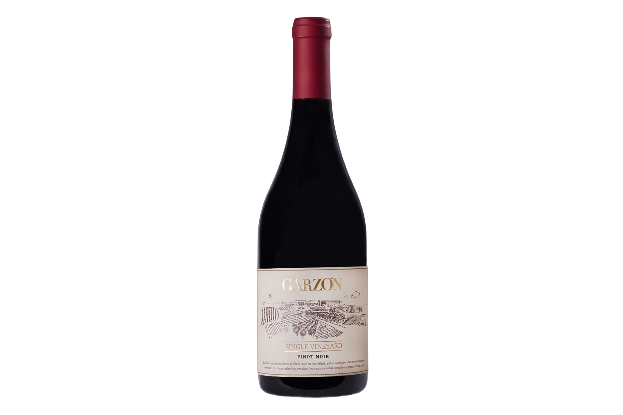 Bodega Garzón Single Vineyard Pinot Noir Uruguay