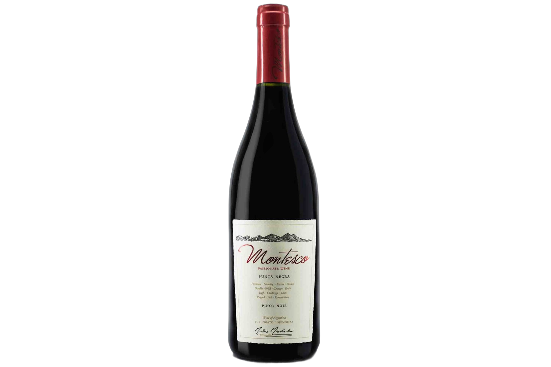 Matias Michelini Montesco Punta Negra Pinot Noir Tupungato Mendoza