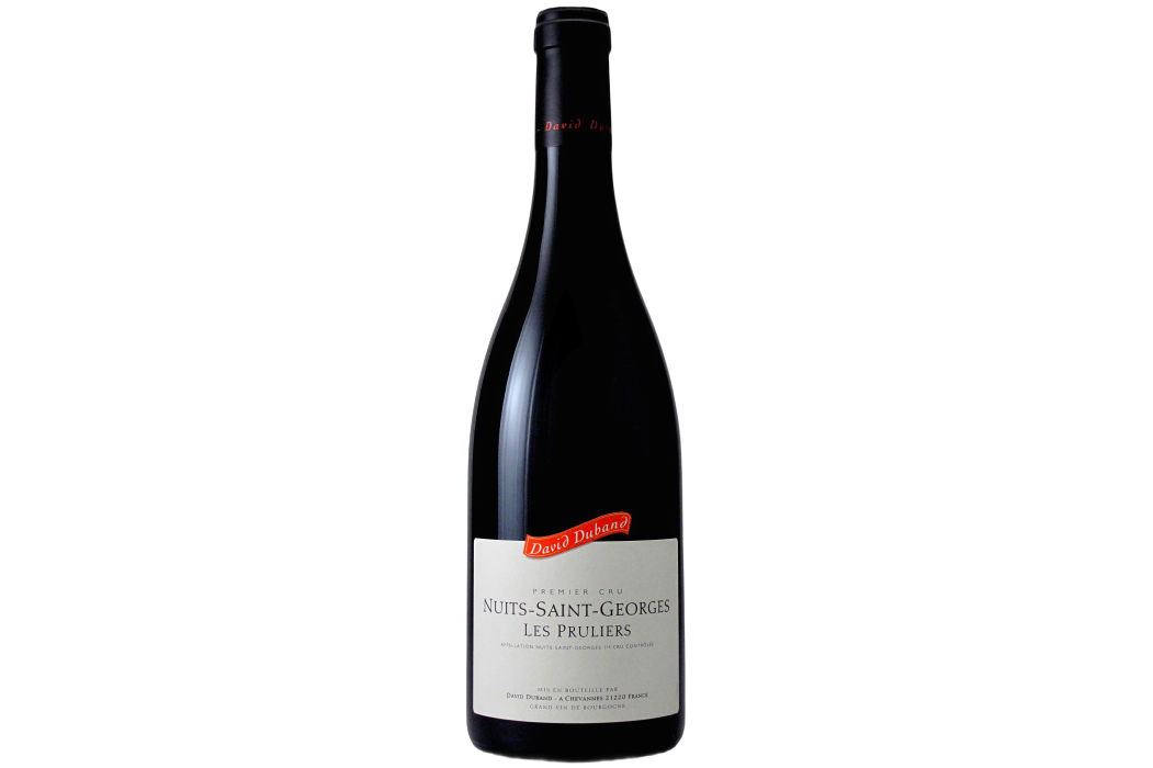 Henri Gouges Nuits-St-Georges Premier Cru Les Pruliers