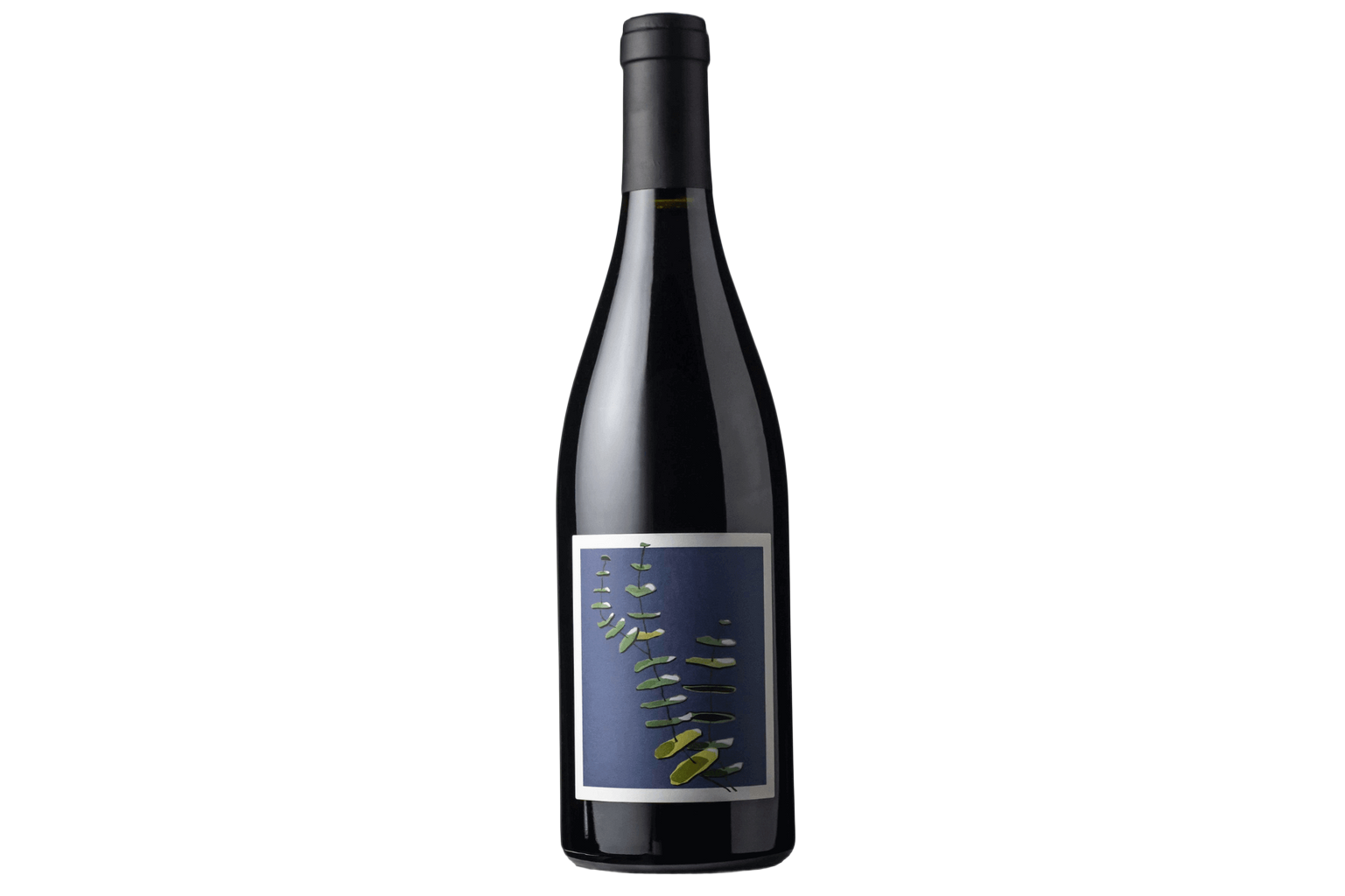 Lucy M Vineyard Estate Pinot Noir Basket Range Adelaide Hills