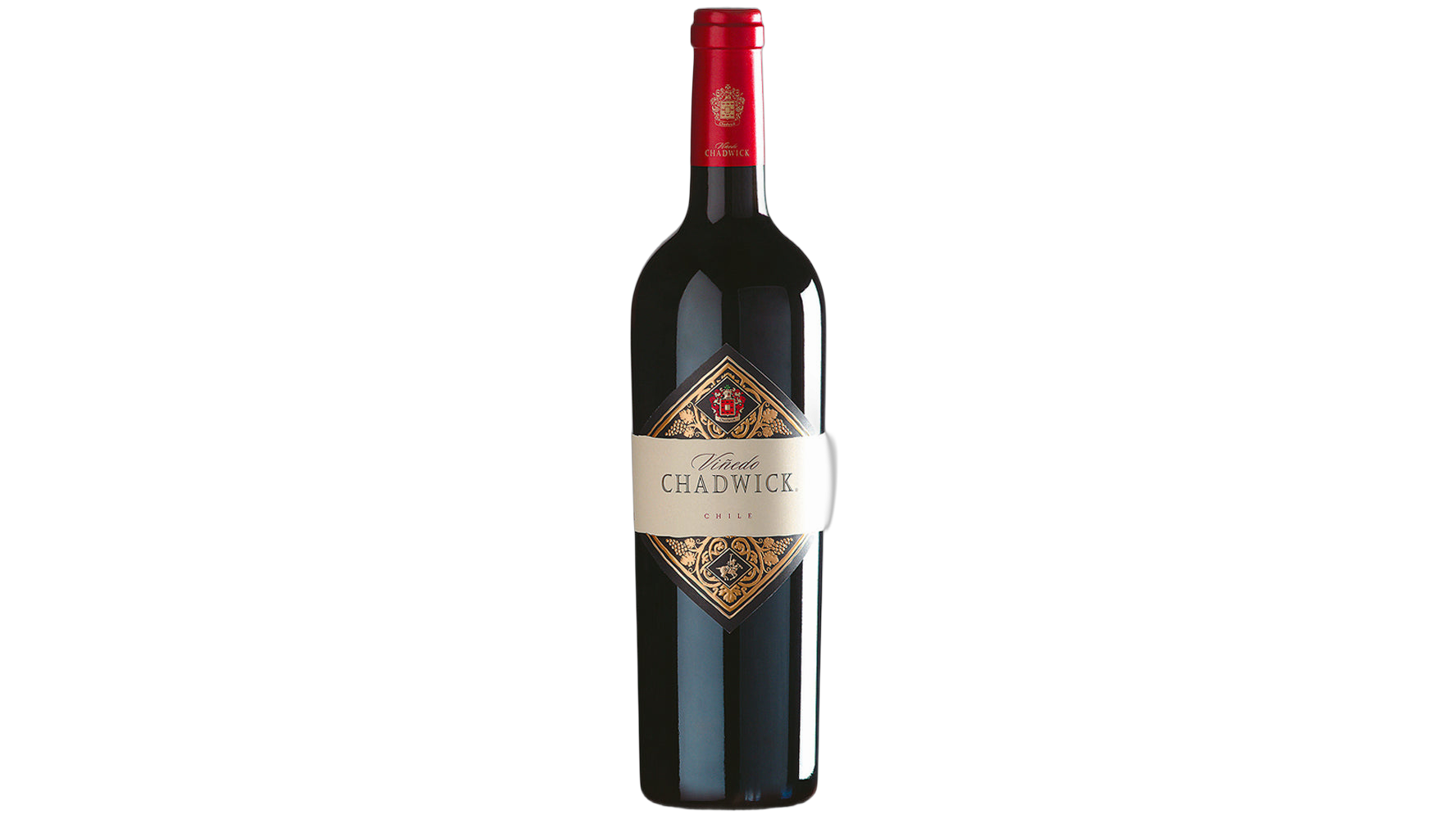 Errázuriz Vinedo Chadwick wine bottle
