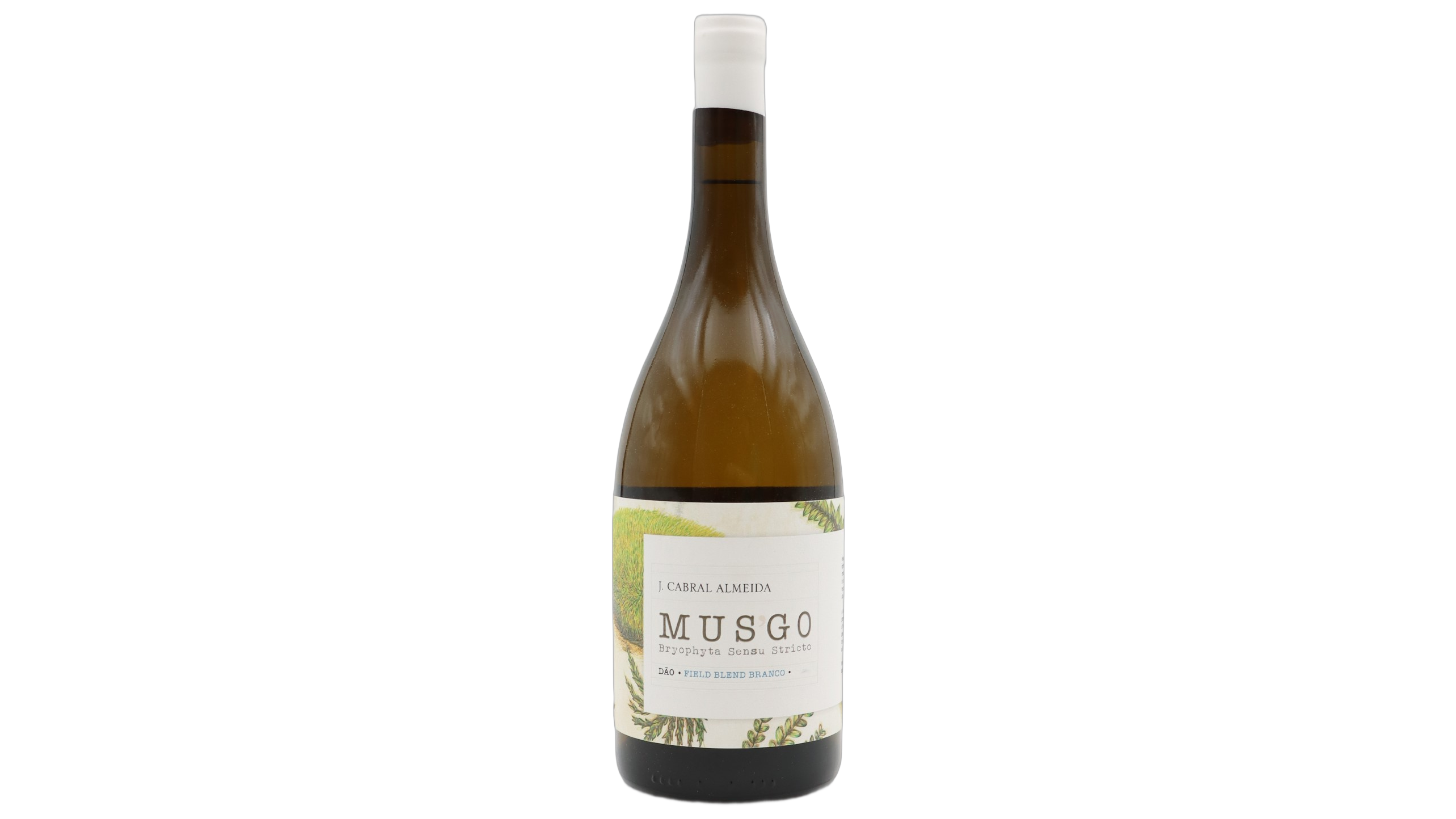 J. Cabral Almeida Wines Musgo Encruzado White wine bottle